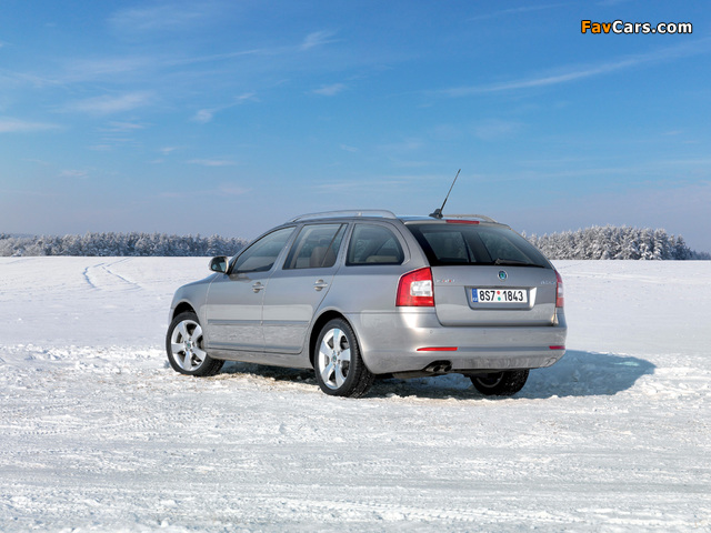 Škoda Octavia Combi 4x4 (1Z) 2008–13 images (640 x 480)