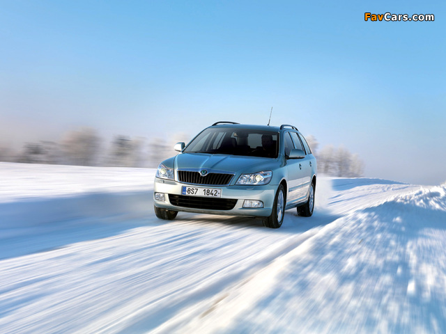 Škoda Octavia Combi 4x4 (1Z) 2008–13 photos (640 x 480)