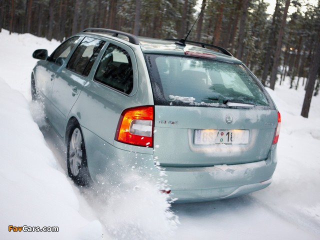 Škoda Octavia Combi 4x4 (1Z) 2008–13 wallpapers (640 x 480)