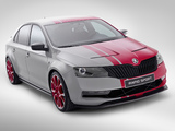 Škoda Rapid Sport Concept 2013 photos