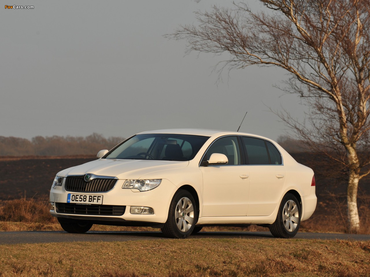 Škoda Superb GreenLine UK-spec 2009–13 wallpapers (1280 x 960)