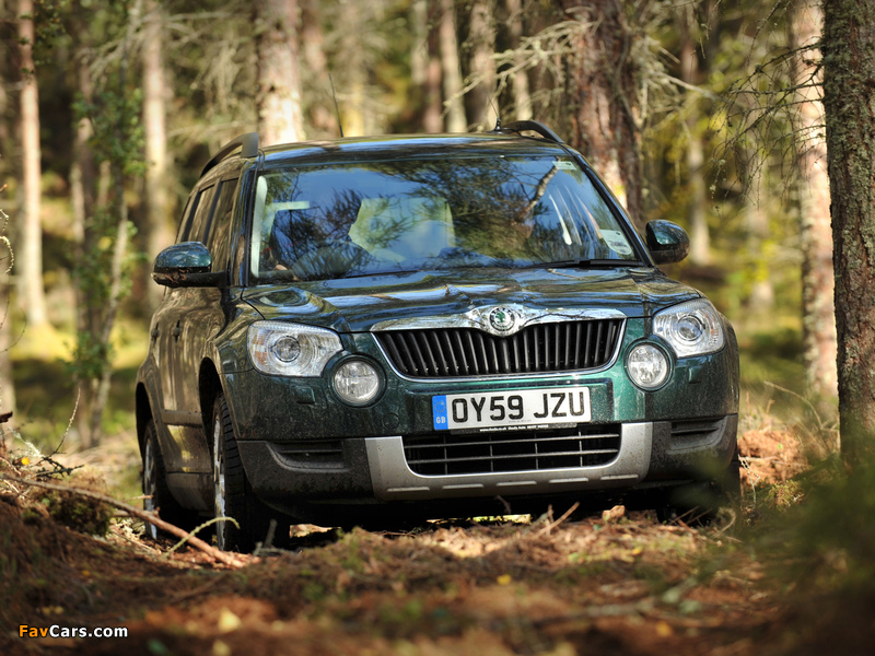 Pictures of Škoda Yeti UK-spec 2009–14 (800 x 600)