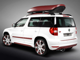 BT Design Škoda Yeti 2011 pictures