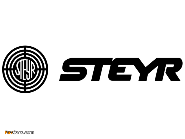 Steyr images (640 x 480)