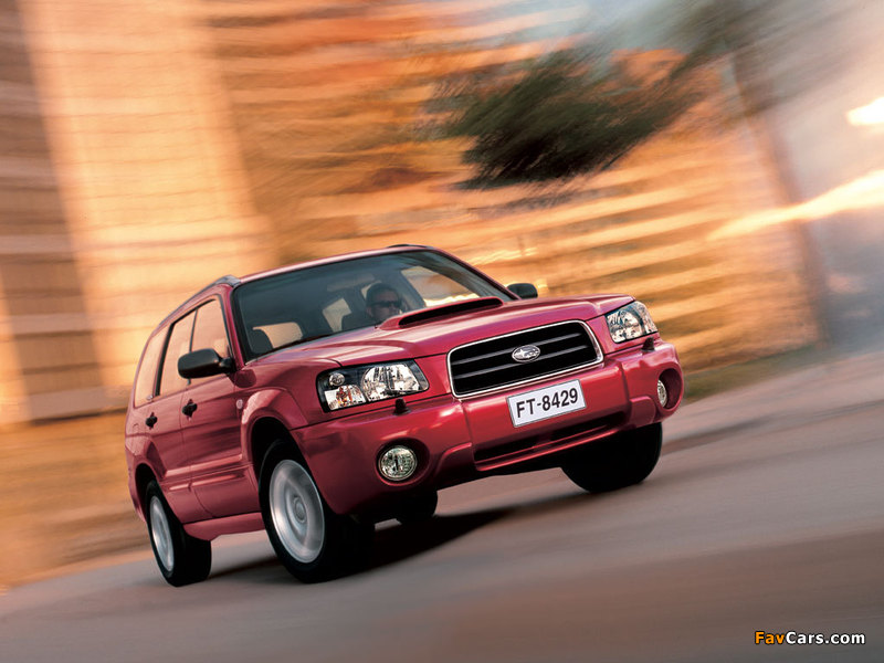 Images of Subaru Forester XT 2003–05 (800 x 600)