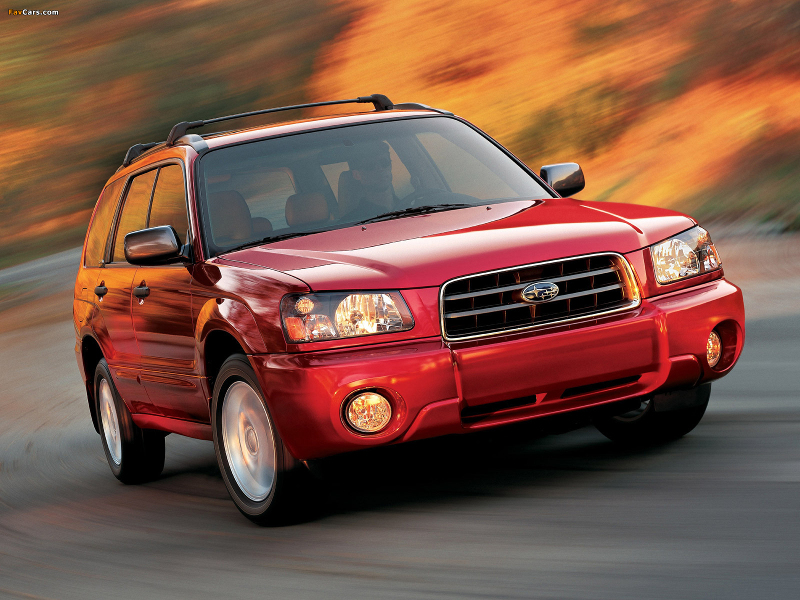 Images of Subaru Forester US-spec (SG) 2003–05 (1600 x 1200)