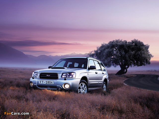 Images of Subaru Forester XT 2003–05 (640 x 480)