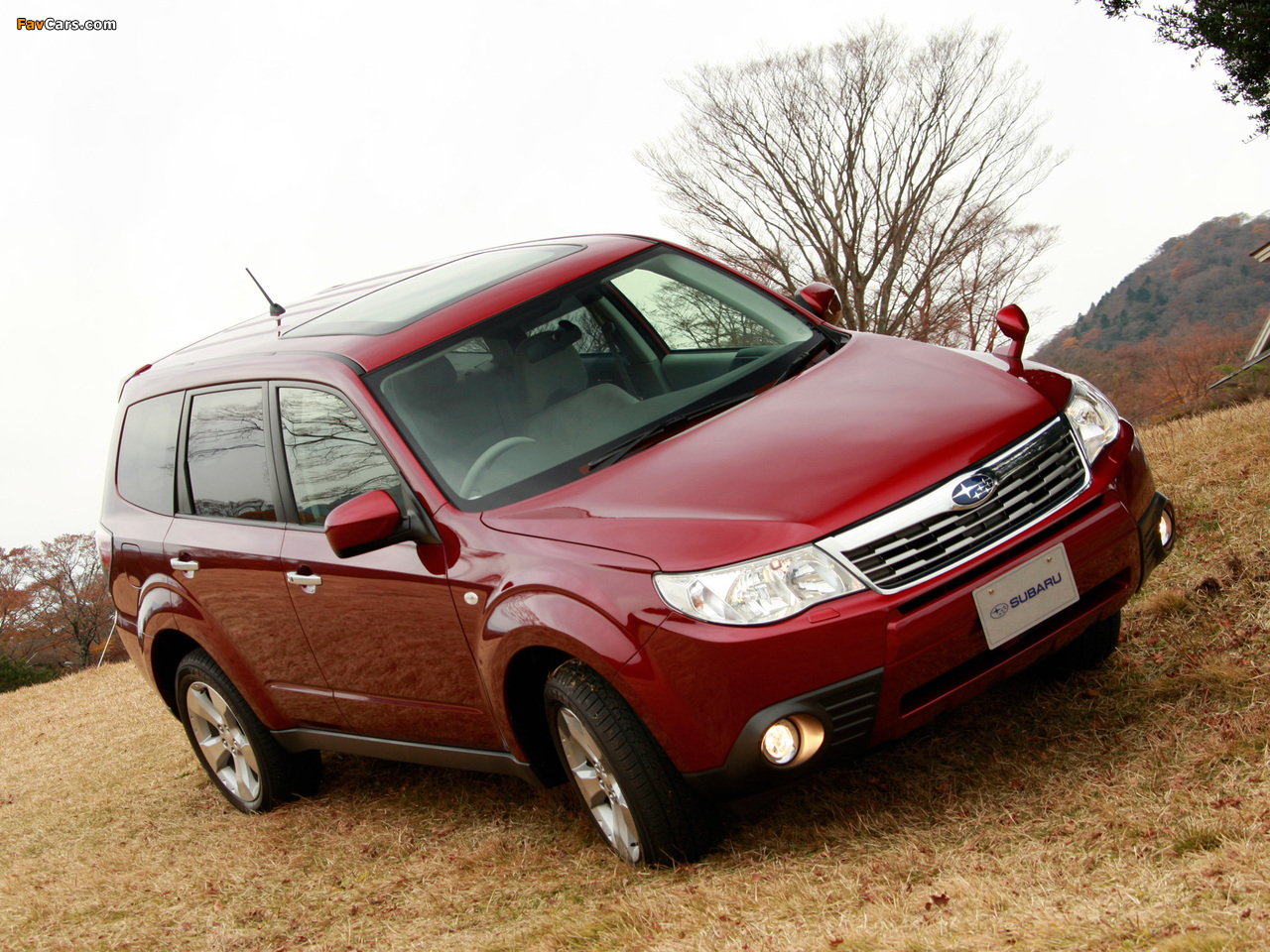 Images of Subaru Forester JP-spec (SH) 2008–10 (1280 x 960)