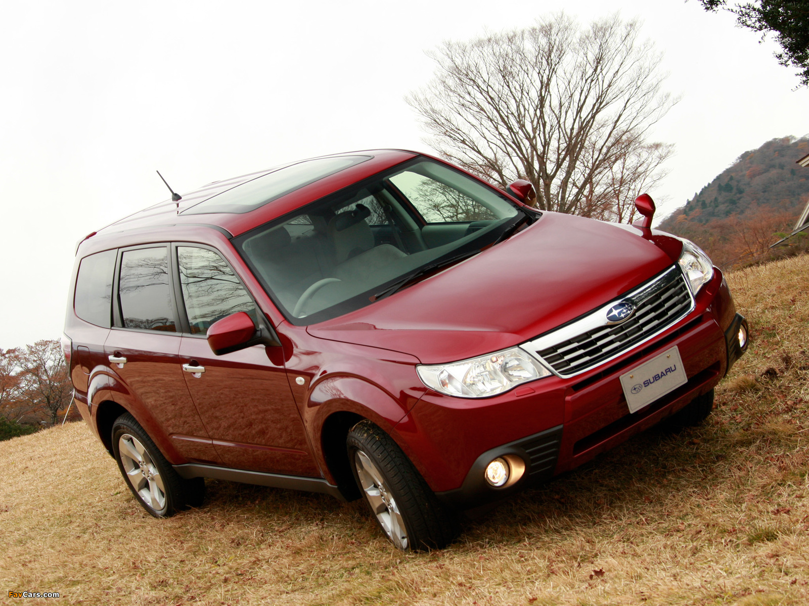 Images of Subaru Forester JP-spec (SH) 2008–10 (1600 x 1200)