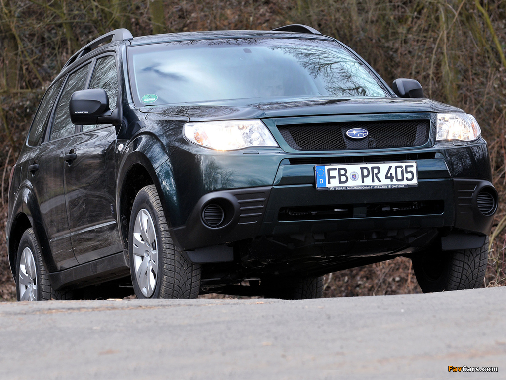Images of Subaru Forester 30 Jahre (SH) 2010 (1024 x 768)