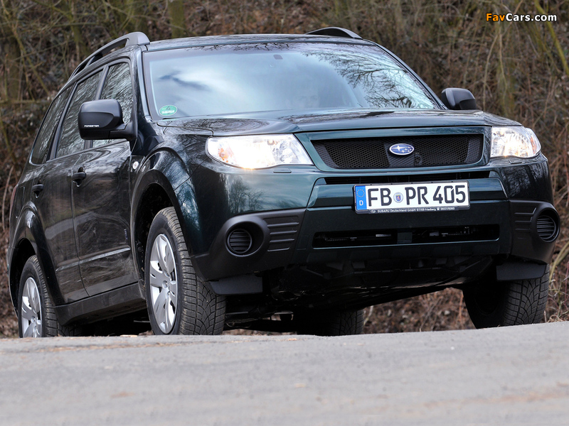 Images of Subaru Forester 30 Jahre (SH) 2010 (800 x 600)