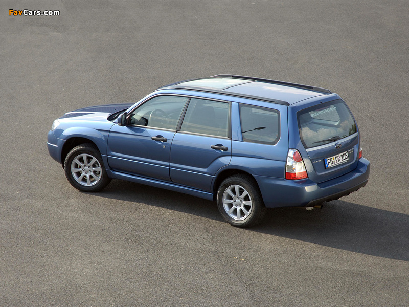 Photos of Subaru Forester 2.0X 2005–08 (800 x 600)