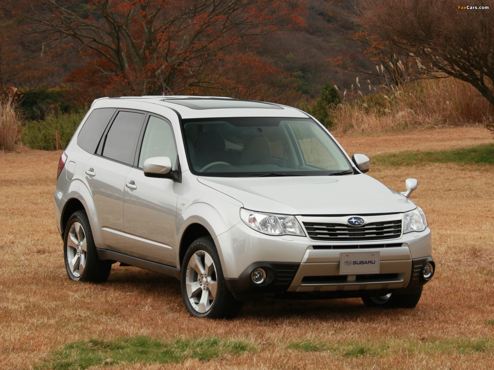 Photos of Subaru Forester JP-spec (SH) 2008–10 (1600 x 1200)