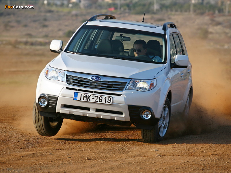 Photos of Subaru Forester 2008–11 (800 x 600)