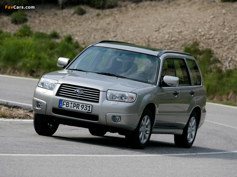 Pictures of Subaru Forester 2.0X 2005–08 (800 x 600)