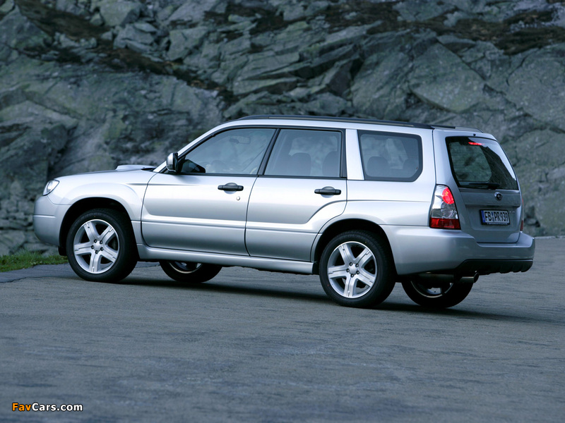 Pictures of Subaru Forester 2.5XT (SG) 2005–08 (800 x 600)