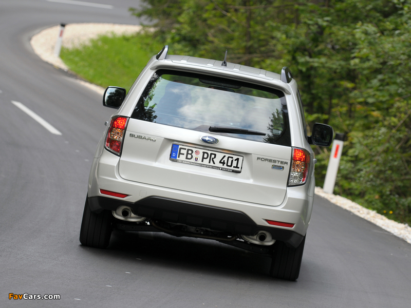 Pictures of Subaru Forester 2.0D 2008–11 (800 x 600)