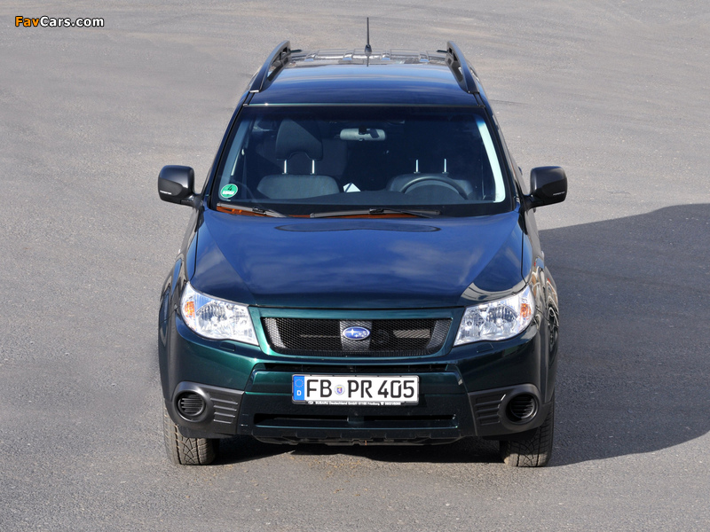 Pictures of Subaru Forester 30 Jahre (SH) 2010 (800 x 600)