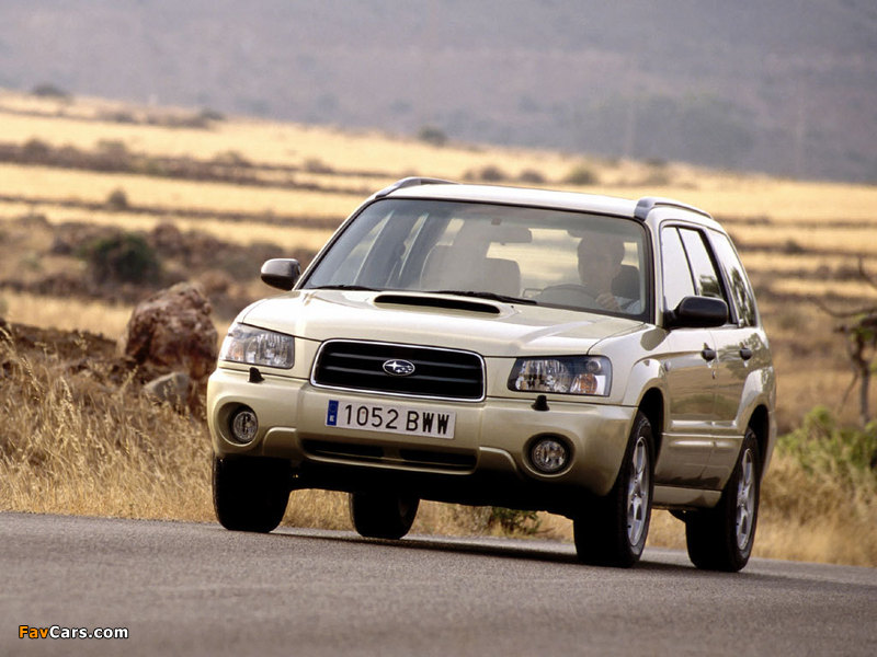 Subaru Forester XT 2003–05 images (800 x 600)