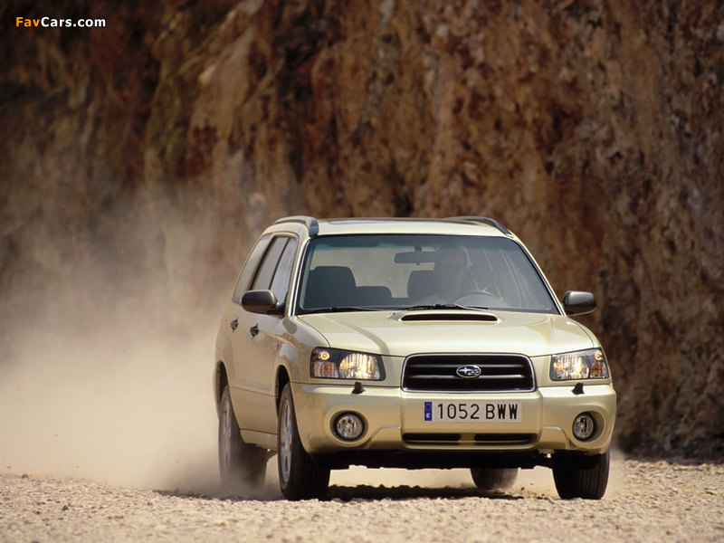 Subaru Forester XT 2003–05 photos (800 x 600)