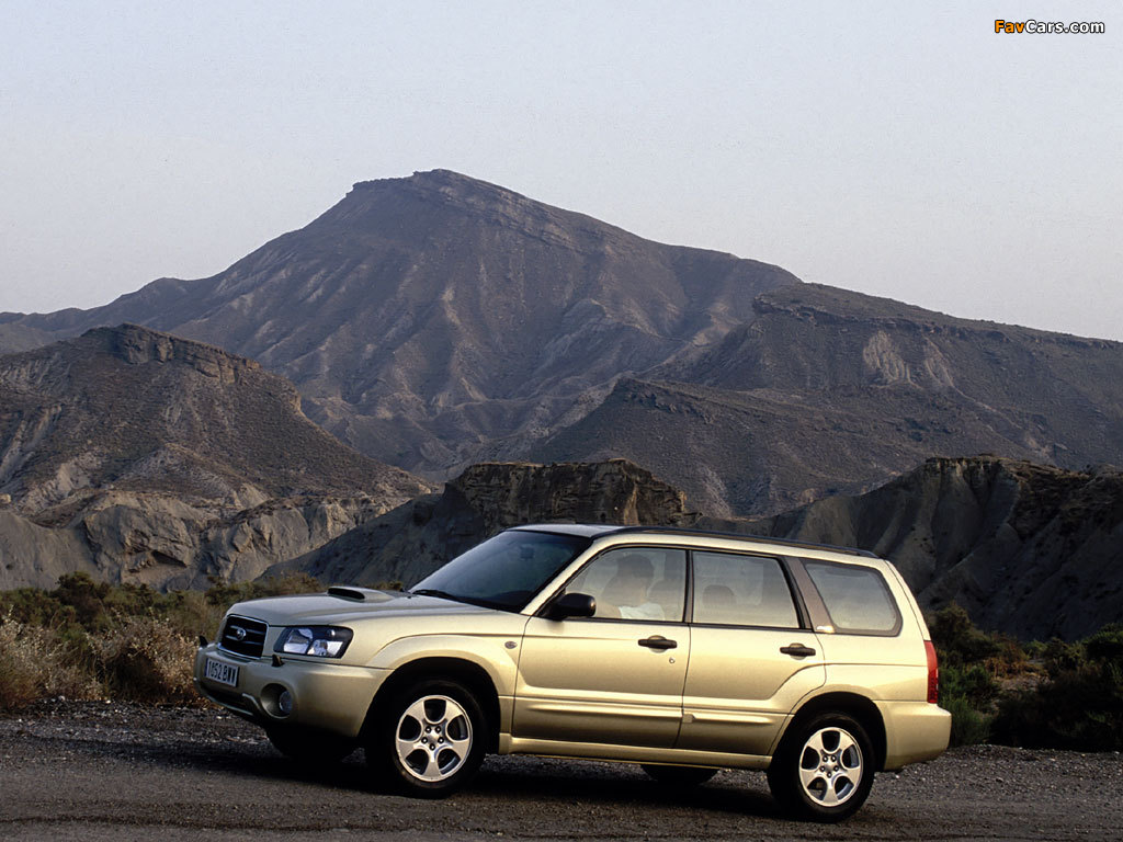 Subaru Forester XT 2003–05 photos (1024 x 768)