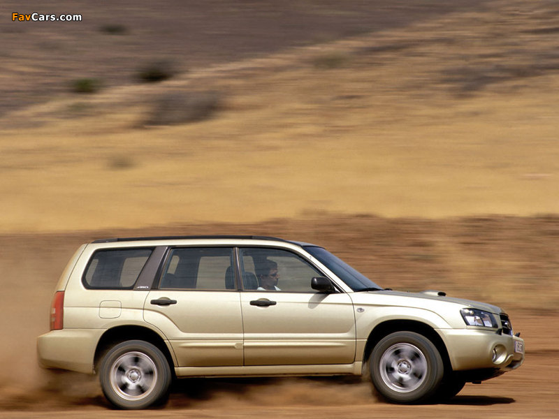 Subaru Forester XT 2003–05 pictures (800 x 600)