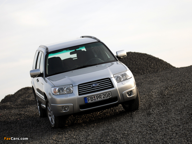 Subaru Forester 2.0X 2005–08 images (800 x 600)