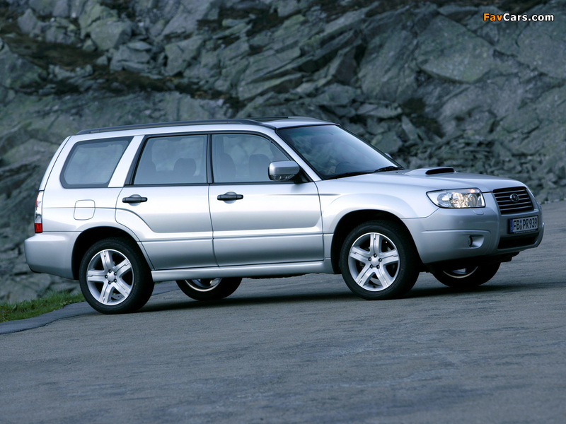 Subaru Forester 2.5XT (SG) 2005–08 photos (800 x 600)