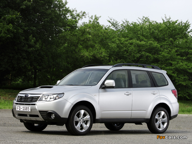 Subaru Forester 2.0D 2008–11 wallpapers (640 x 480)