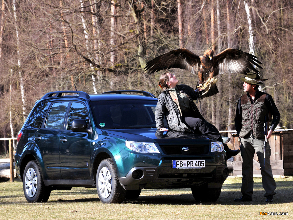 Subaru Forester 30 Jahre (SH) 2010 images (1024 x 768)