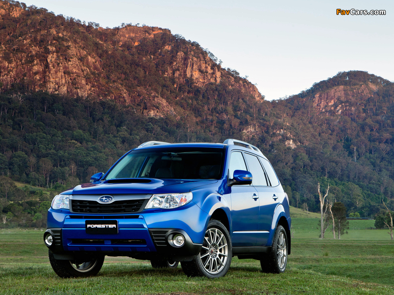 Subaru Forester S-Edition 2010 pictures (800 x 600)