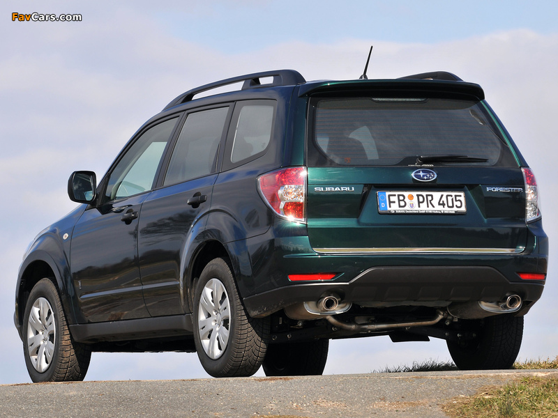 Subaru Forester 30 Jahre (SH) 2010 pictures (800 x 600)