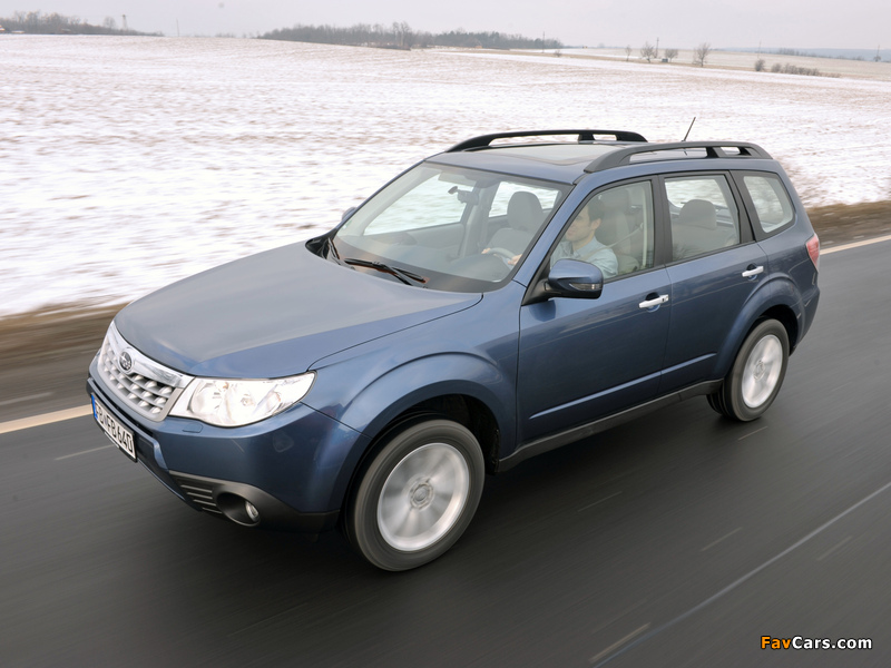 Subaru Forester (SH) 2011 photos (800 x 600)