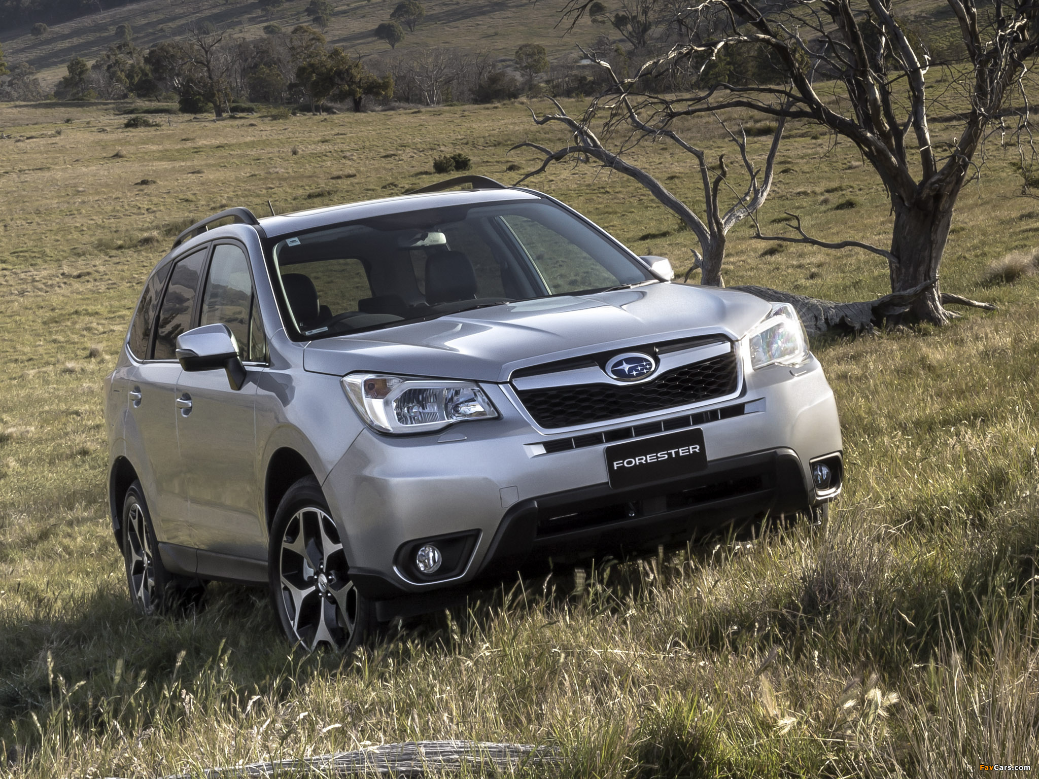 Subaru Forester 2.0D-S AU-spec 2012 photos (2048 x 1536)