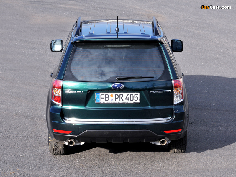 Subaru Forester 30 Jahre (SH) 2010 wallpapers (800 x 600)