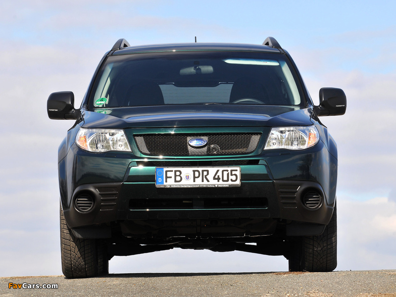 Subaru Forester 30 Jahre (SH) 2010 wallpapers (800 x 600)