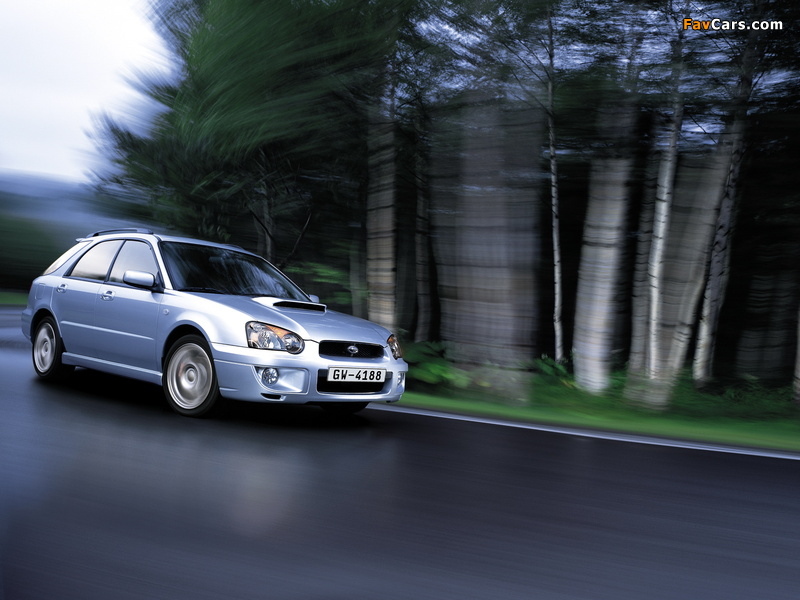 Subaru Impreza WRX Sport Wagon (GGA) 2003–05 pictures (800 x 600)