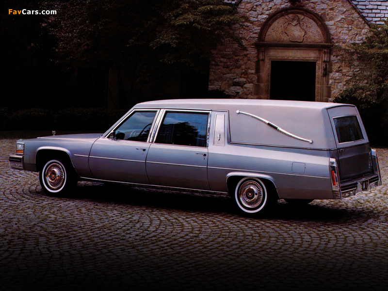 Cadillac Sovereign Landaulet by Superior 1980 pictures (800 x 600)