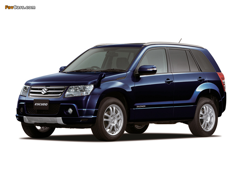 Suzuki Escudo Salomon 2008 photos (800 x 600)