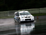 Pictures of Suzuki SX4 WRC 2007
