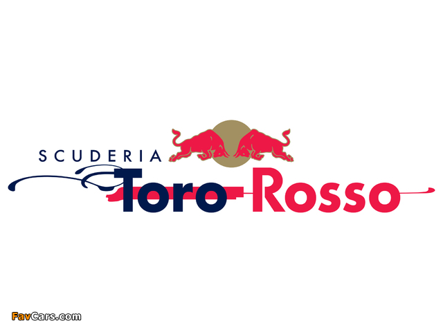 Toro Rosso wallpapers (640 x 480)