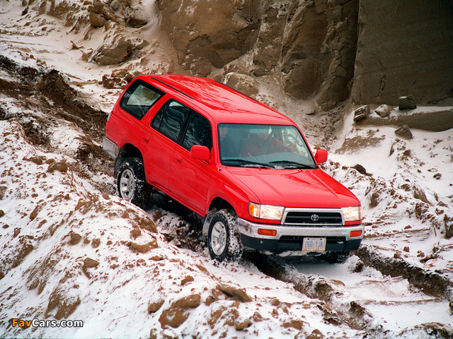 Images of Toyota 4Runner 1996–99 (640 x 480)