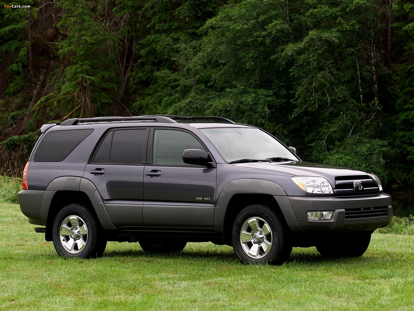 Images of Toyota 4Runner SR5 2003–05 (1600 x 1200)