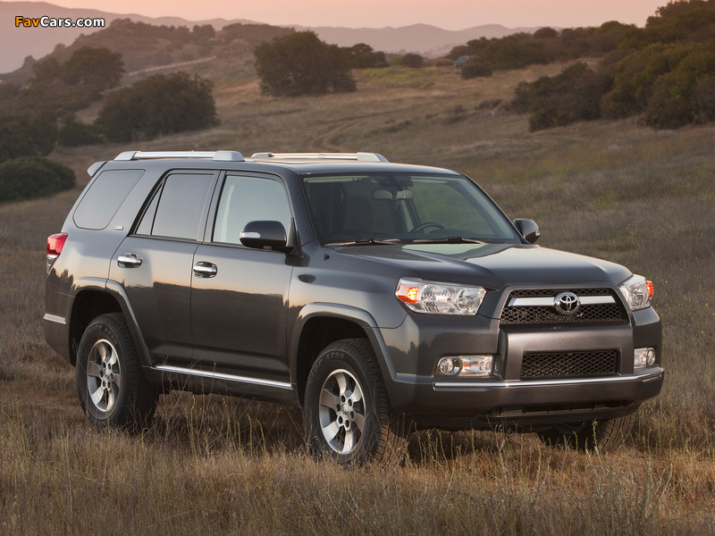 Images of Toyota 4Runner SR5 2009 (800 x 600)