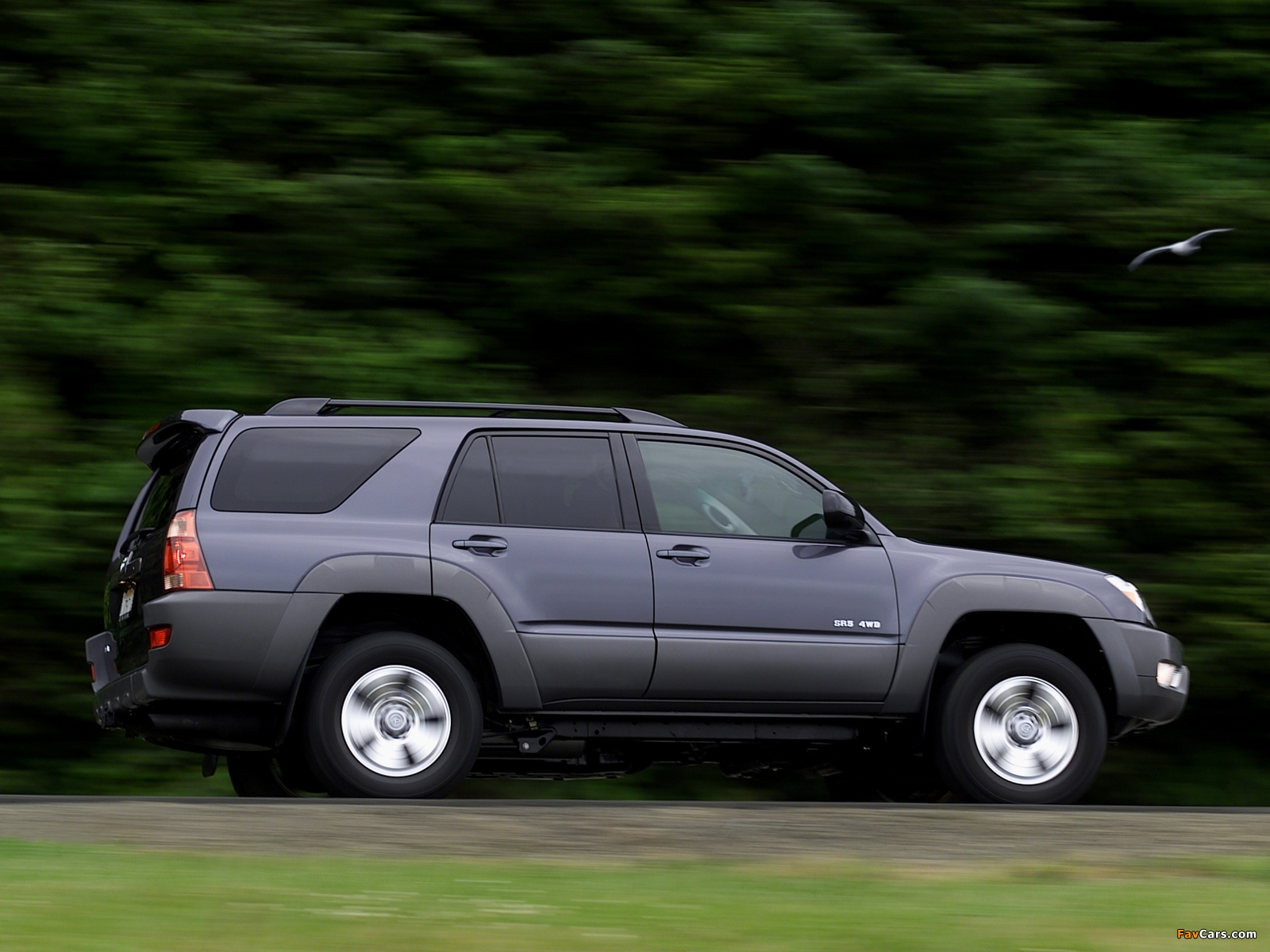 Photos of Toyota 4Runner SR5 2003–05 (1600 x 1200)