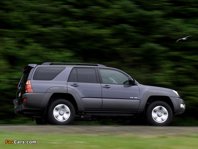 Photos of Toyota 4Runner SR5 2003–05 (640 x 480)