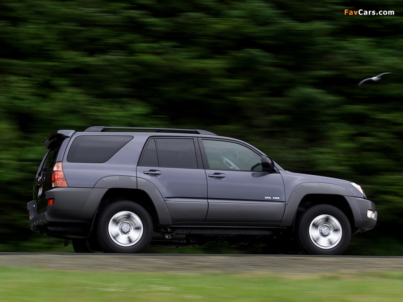 Photos of Toyota 4Runner SR5 2003–05 (800 x 600)