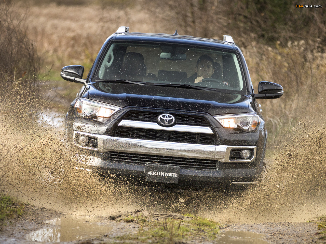 Photos of Toyota 4Runner Limited 2013 (1280 x 960)