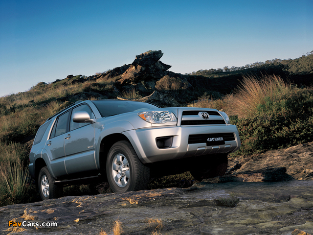 Pictures of Toyota 4Runner 2005–09 (640 x 480)