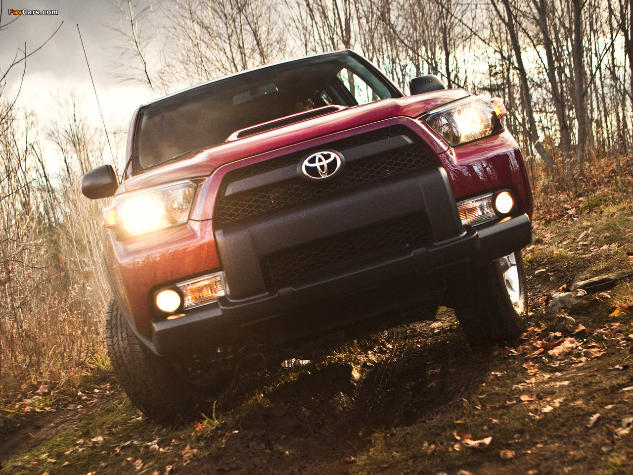 Toyota 4Runner Trail 2009 photos (1280 x 960)